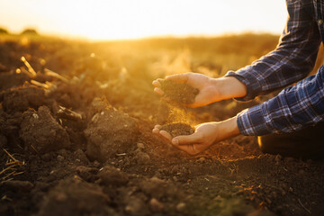 Hand of farmer collect soil and checking soil health before growth a seed of vegetable or plant seedling. Harvesting. Agribusiness. Gardening concept.