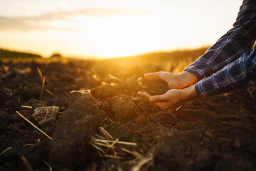 Hand of farmer collect soil and checking soil health before growth a seed of vegetable or plant seedling. Harvesting. Agribusiness. Gardening concept.