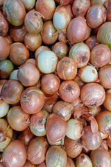 Onions assembling several effects on textured background