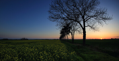 Kolorowy zachód słońca nad polami i drzewami. © Stanisław Błachowicz