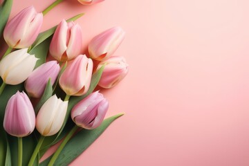 Naklejka premium Tulips on a pink background with the text spring on the bottom