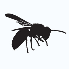 Wasp silhouettes and icons. Black flat color simple elegant Wasp animal vector and illustration.