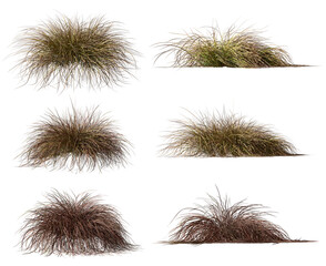 Clip-art dried grass isolate on transparent backgrounds 3d render png