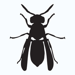 Wasp silhouettes and icons. Black flat color simple elegant Wasp animal vector and illustration.