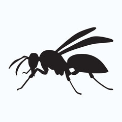 Wasp silhouettes and icons. Black flat color simple elegant Wasp animal vector and illustration.