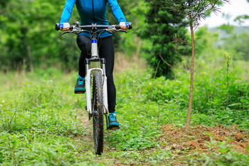 Fototapeta na wymiar Riding bike in spring forest