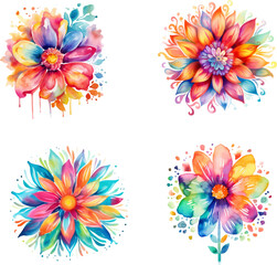 Fototapeta na wymiar set of colorful floral elements