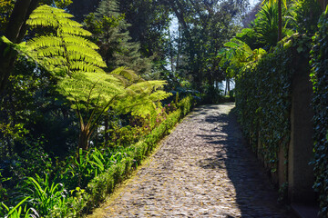 Monte Palace - Tropical Garden with Waterfalls, Lakes and traditional buildings above the city of Funchal. Popular tourist destination in Madeira island, Portugal.