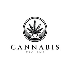 Cannabis vintage logo design vector illustration