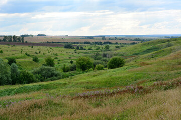 A rolling landscape with green grass and a few trees in the foreground in cloudy day 