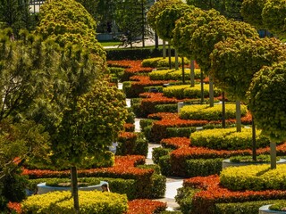 flowerbeds of plants with colorful young leaves in a regular recreation park in the south of Russia on a sunny spring day