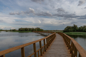 Fototapeta premium Wooden bridge over the lake of a natural park.