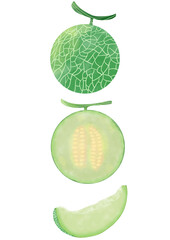 青肉メロンの水彩イラストセット素材