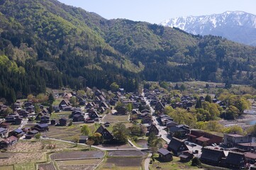 世界遺産飛騨白川郷の春