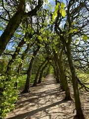Schlosspark in Neustadt am Rübenberge (Niedersachsen)