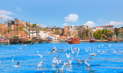 Naklejka premium Old town (Kaleici) with seagull - Antalya, Turkey
