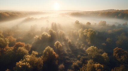 Fototapeta na wymiar Morning fog over the forest. Generative AI