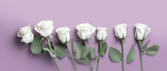 Background featuring white roses on lilac backdrop. Floral romantic illustration. Web, banner, celebration, backgrounds. Generative AI. 