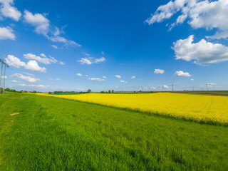 A stunning rapeseed field in spring blooms brighter than the sun, with its vibrant yellow color filling the landscape