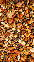autumn background