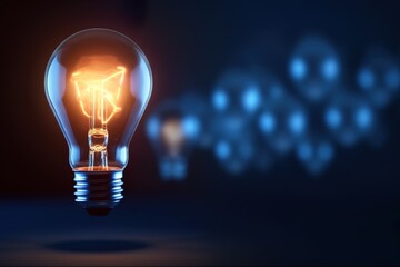 light bulb on black background