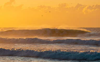Big wave on the ocean with golden sunlight.
