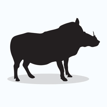 recommend clip art: Warthog silhouettes and icons. Black flat color simple elegant Warthog animal vector and illustration.