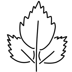Hand Drawn Leaf Line Icon