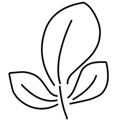Hand Drawn Leaf Line Icon