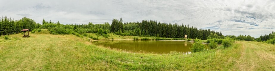 Fototapeta na wymiar small pond in mountain forest panorama