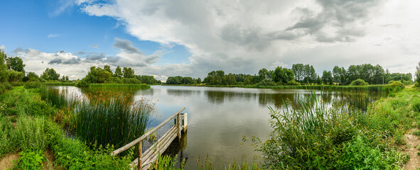panorama country side with pond, reeds, trees