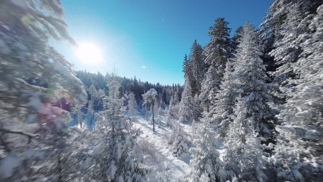 Chamrousse - Winter Landscape 21 - FPV - 4K - Color Graded