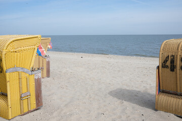 yellow beach chairs on the beach