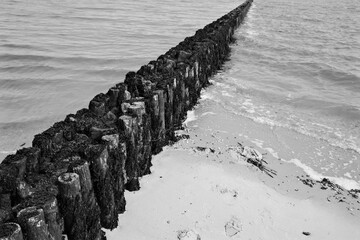 greyscale shot of a old pier on the beach