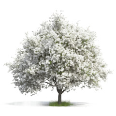 Blooming tree. Transparent isolated background. AI generated