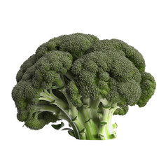 Brocoli, close-up. Transparent isolated background. AI generated