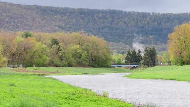 flow 4k frash grass