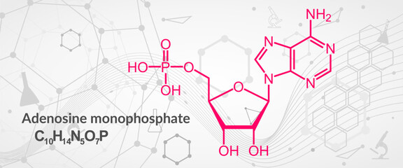 Adenosine monophosphate or AMP, adenylic acid molecule. Nucleotide monomer of RNA. Composed of phosphate, ribose and adenine moieties. Skeletal formula.