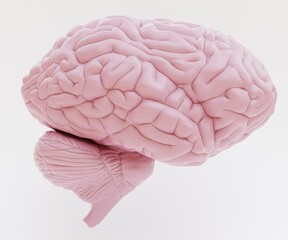 Realistic 3D Render of Plastic Human Brain