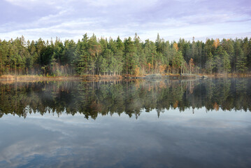 Scenic view over forest lake