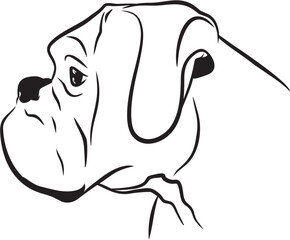 Silhouette profile head of a boxer. Hand drawing vector isolated dog icon. 
