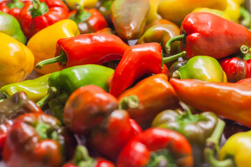 A set of different varieties of sweet peppers.