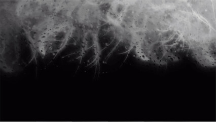 Abstract black watercolor background.Hand painted watercolor. vector