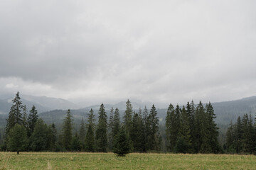 Fototapeta premium Mountain hill, forest, sky and clouds. Scenic nature landscape