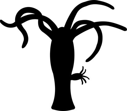 Black silhouette of Freshwater hydra