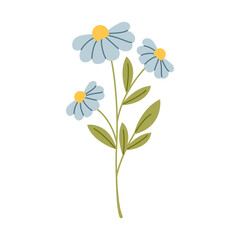 Wild flower vector flat illustration. Decorative floral design elements.