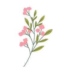 Wild flower vector flat illustration. Decorative floral design elements.