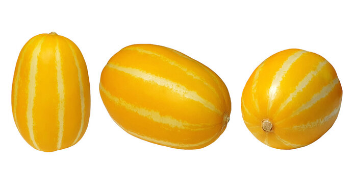Summer Fruit and Vegetables Three Korean Yellow Melons (Chamoe) Isolated on a White Background