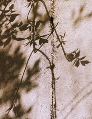 texture with flowers