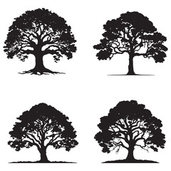 set of Banyan trees silhouettes. Big tree black silhouette